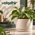 Velqathir™ Self-Watering Glass Plant Globe