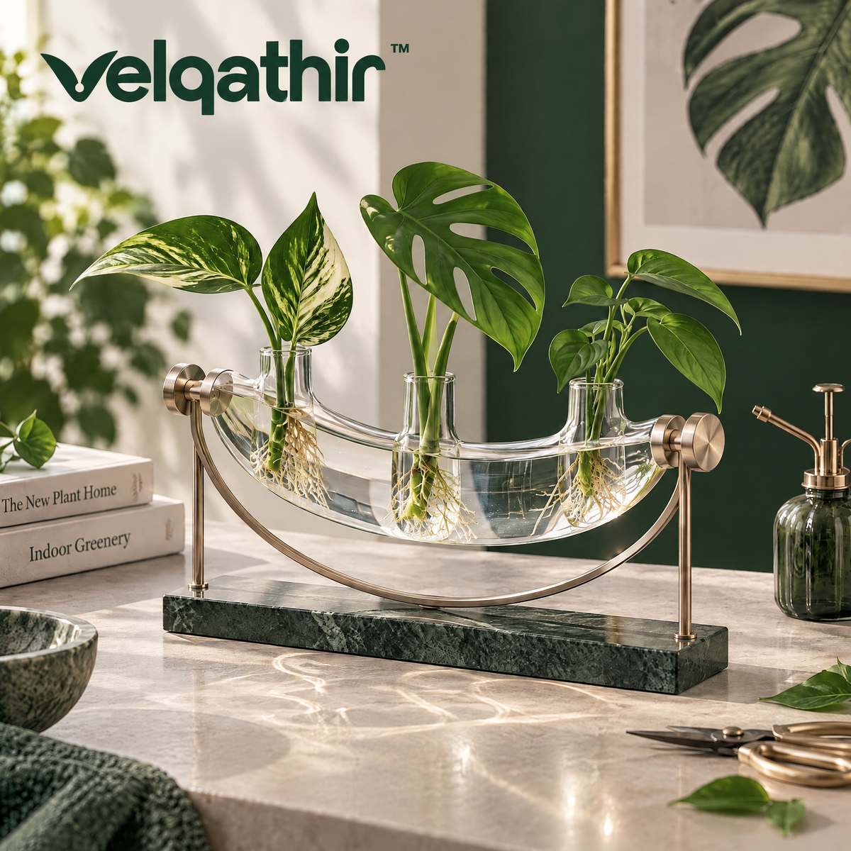 Velqathir™ Glass Plant Propagation Station